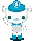 Captain Barnacles Bear
